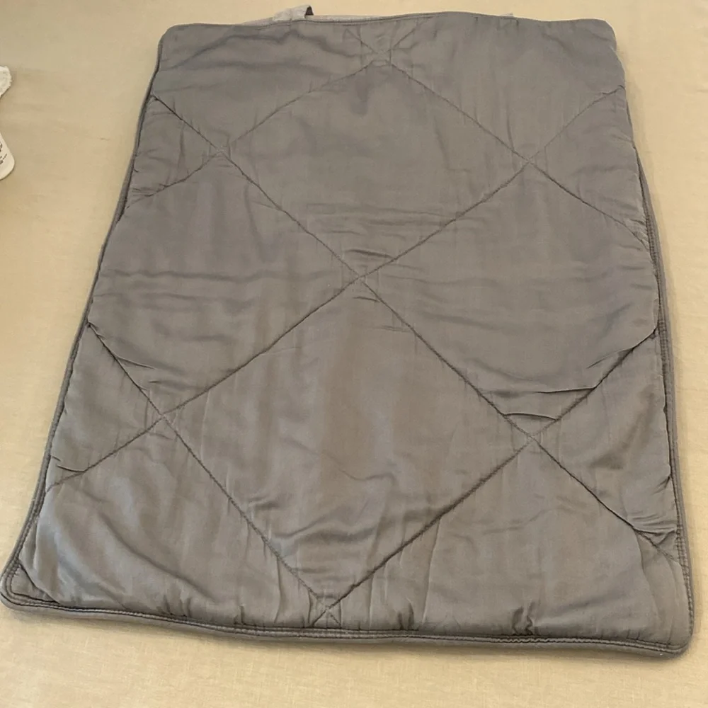 Set of Two Standard Pottery Barn Quilted Linen, Silk and Cotton Blend Shams